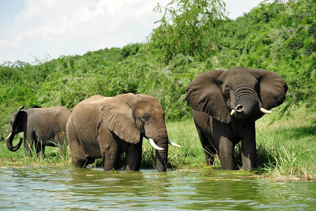 Ecotourism
