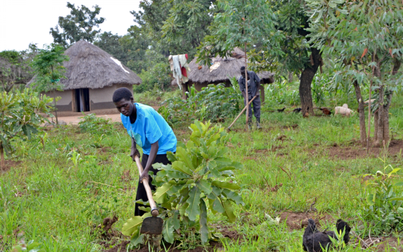 Greener Landscapes Inc