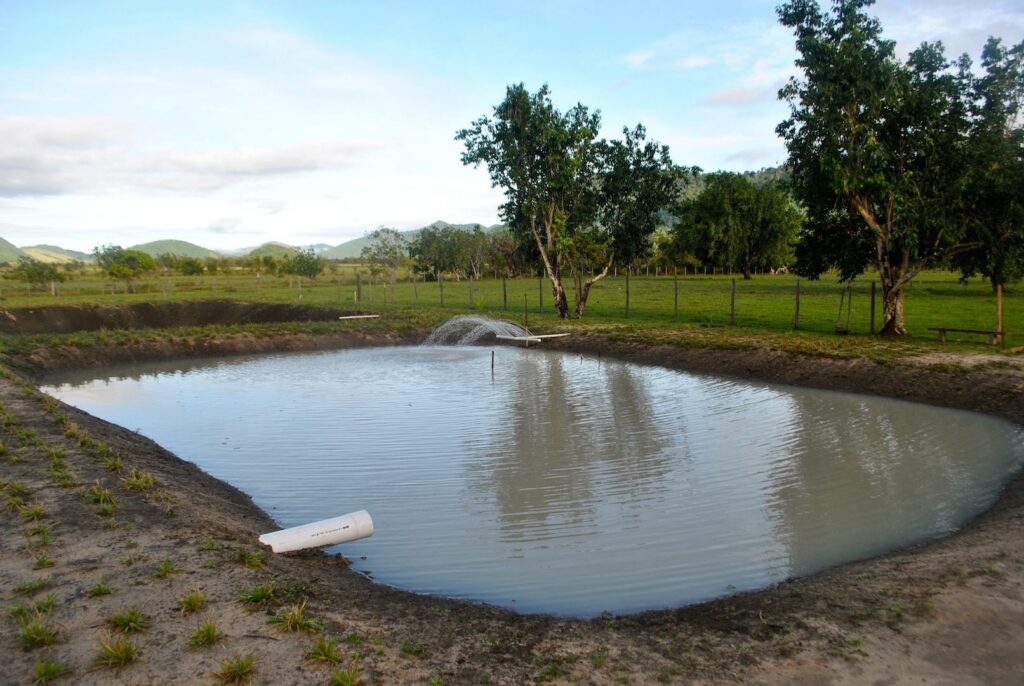 Fish Farming in Uganda