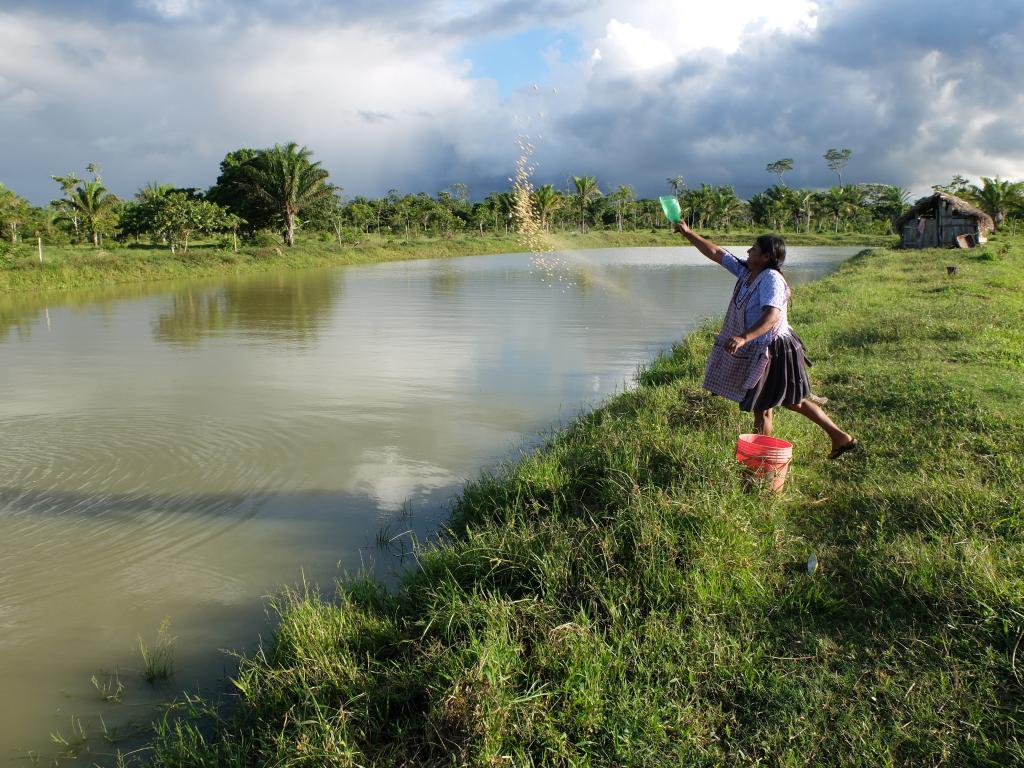 Fish Farming in Uganda